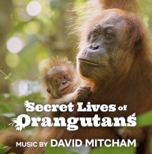 Secret Lives of Orangutans on Netflix